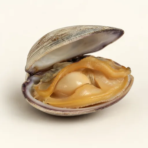 Clams