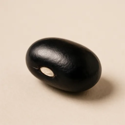 Black bean