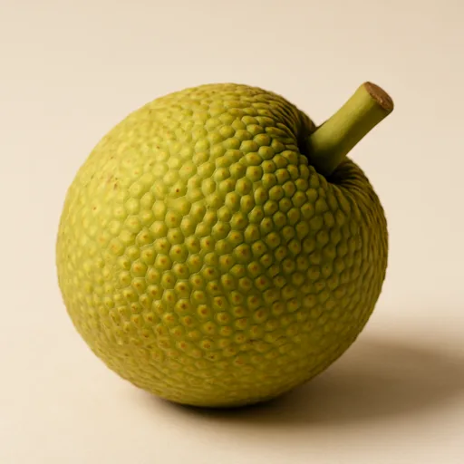 breadfruit