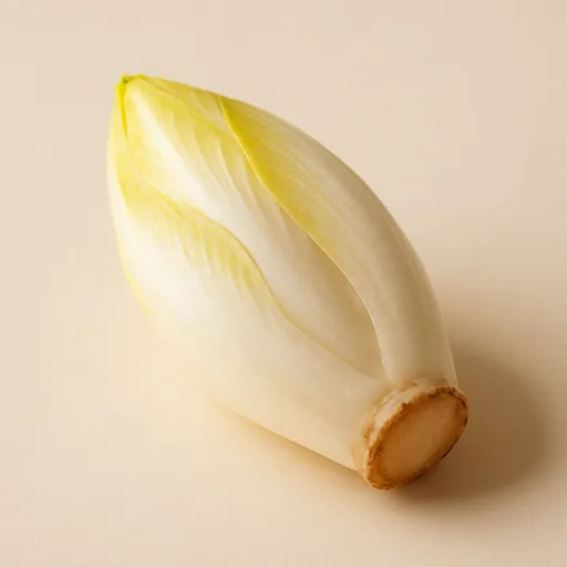 chicory root