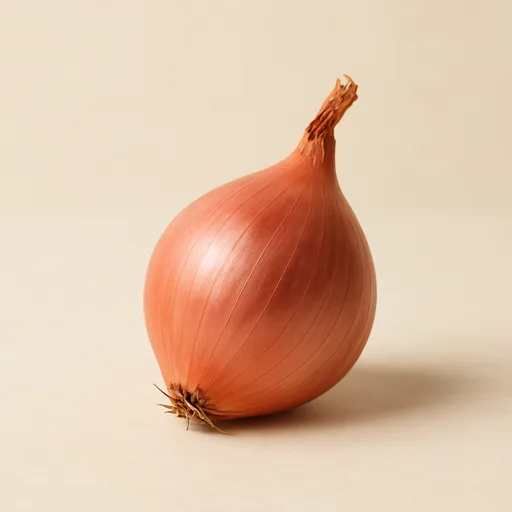 shallot