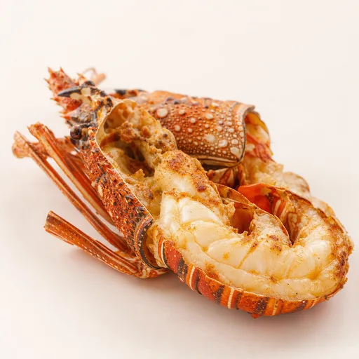 Lobster