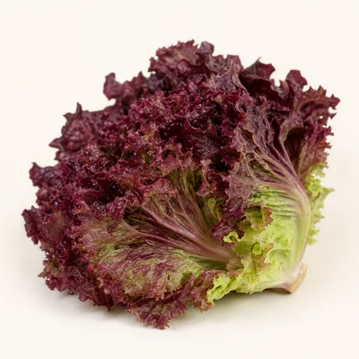 Red lettuce