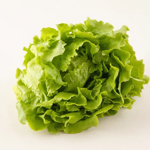 Lettuce