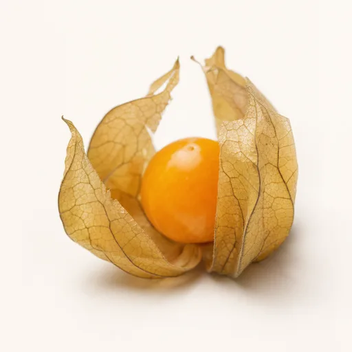 Cape gooseberry